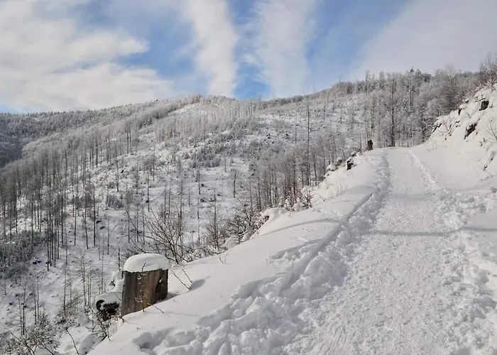 Apartament Rycerka Gorna דירה